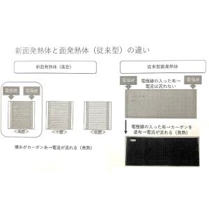 西川 ローズテクニー敷布団 《在庫有、即出荷》...の詳細画像3