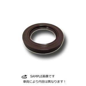 大丸テクノ インジェクタークリーナー（ディーゼルエンジン専用洗浄剤