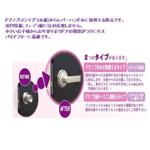 AGENT LS-100 取替用レバーハンドル...の詳細画像3