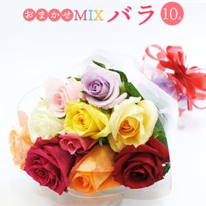 鈴木バラ園 Yahoo ショッピング