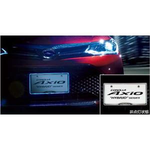カローラ ツーリング LEDサイドライト（ナンバーフレーム付