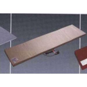 プロフィア 蓄熱式マット「New一休さん」（24V専用）電源ハーネスのみ