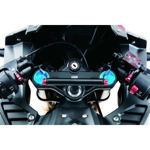 CBR250RR 社外品 プロト シングルシートカウル HONDA_2輪MC51 パーツ