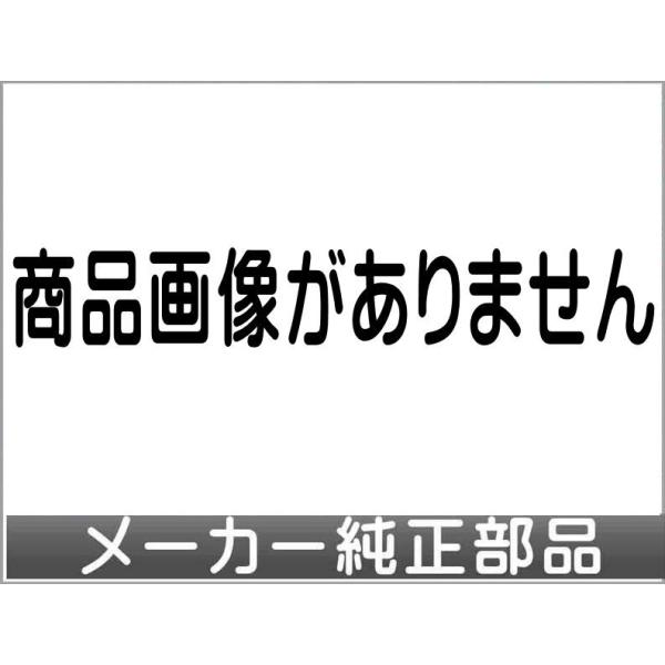オデッセイ コーナーポール ガーニッシュ M・S、M、Li用 ＊ガーニッシュのみ本体別売  ホンダ純...