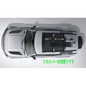 ディフェンダー ポータブルシャワーシステム VPLCS0598 ランドローバー