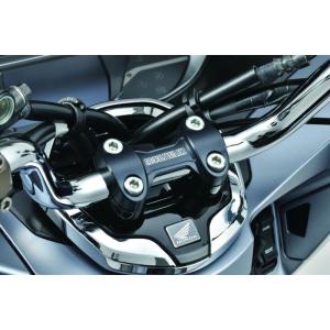 PCX 社外品 モリワキ ZERO マフラー ホンダJK05 パーツ オプション