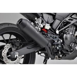 CB250R 社外品 モリワキ NEO CLASSIC スリップオンマフラー ステンレス