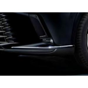 RX プロジェクションウェルカムイルミ ※1 台分（フロント） レクサス