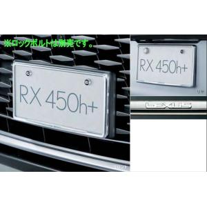 RX フィニッシュプレートイルミネーション ※フィッティングキット別売