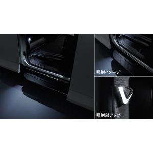 MODELLISTA フードガーニッシュ MSD47-58001 アルファード用 トヨタ