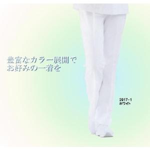 ホワイセル WHISEL スクラブ 白衣 ナース服 医療用 パンツ 2枚セット