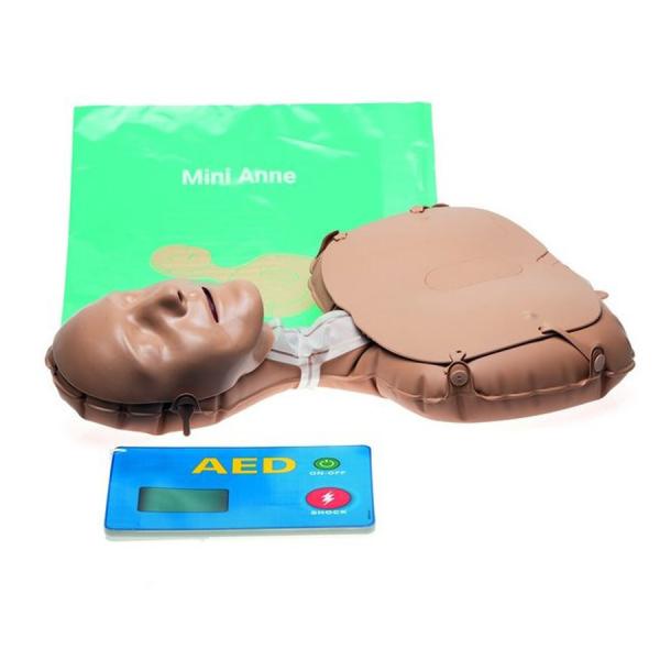 レールダル Mini Anne ミニアン グローバル Laerdal CPR AED 心肺蘇生訓練用...