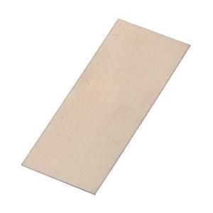 実験用 金属板 B-27 ニッケル板 120mm ターミナルなし