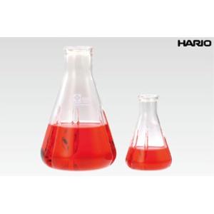 三角フラスコ　バッフル付　1000mL