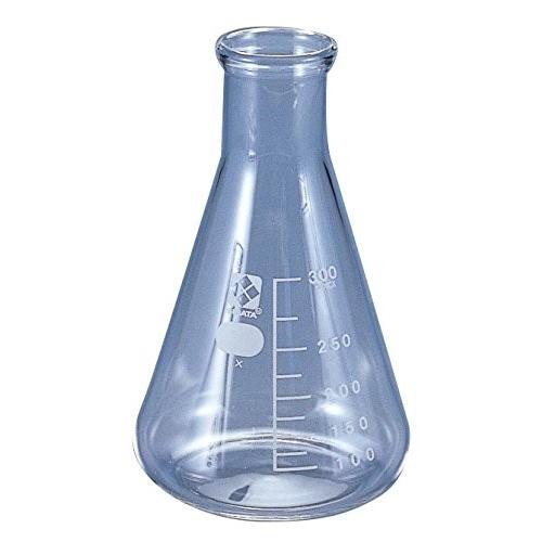 三角フラスコ HARIO 300mL ハリオ