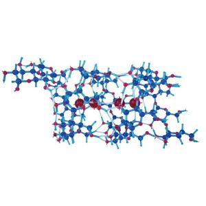 モル タロウ 分子構造模型 DNAセット DNA-1｜suzumori