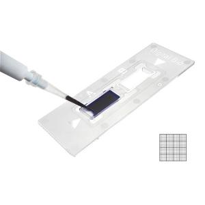 ZOLL ゾール AED Plus用 成人用パッド CPR-D・padz : 鈴盛オンライン