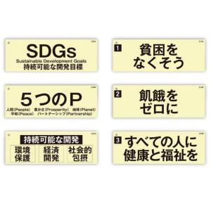 SDGs 関連用語 カード教材 122枚組「持続可能な社会と国際問題を考える」マグネットテープ付属｜suzumori