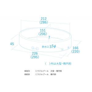 ミラクル プール 楕円形 水遊び時8名利用可の詳細画像1