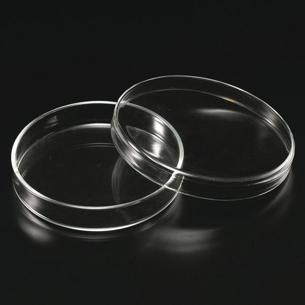 シャーレ ペトリ皿 焼口 φ80×18mm