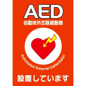 レールダル レサシアン ジャケット QCPR マネキン 別売品 laerdal : 鈴