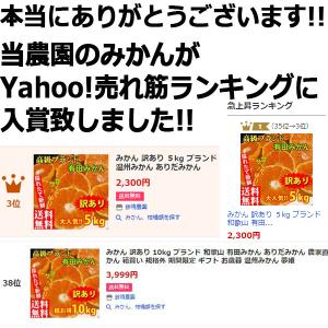 <2027年2月上旬発送予約販売> デコポン ...の詳細画像4