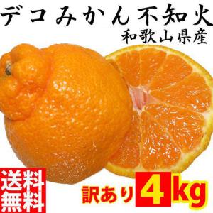 <2月中旬頃より発送予約販売> デコポン と同種 みかん デコみかん 不知火 しらぬい 4kg 訳あり 和歌山みかん オレンジ フルーツ 果物 和歌山県産