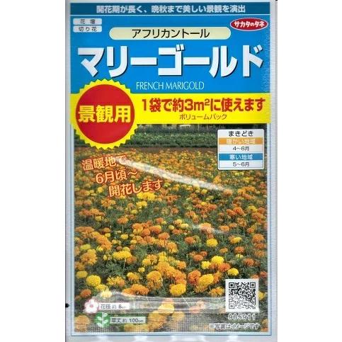 【お徳用】花種子 マリーゴールド「アフリカントール」 3g（サカタのタネ）【送料込み】 千寿菊 せん...