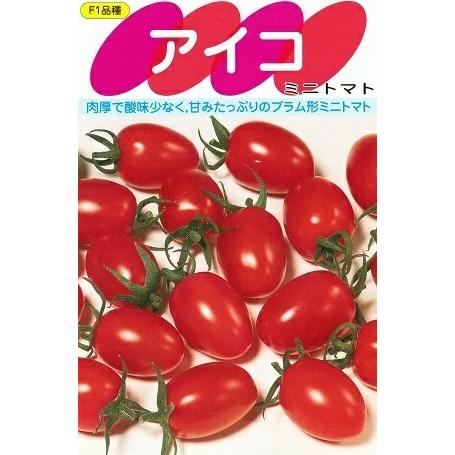 野菜種子 ミニトマト「アイコ」 17粒（サカタのタネ）【送料込み】 プラム形 家庭菜園 茎葉病気抵抗...