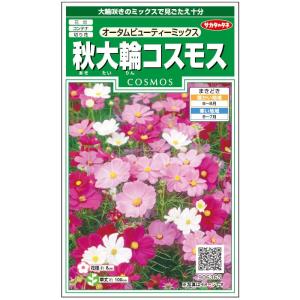 花種子 秋大輪コスモス「オータムビューティーミックス」 2ml（約40本分）（サカタのタネ）【送料込み】 花 種 アーリーミックス 秋桜 大春車菊 家庭菜園 園芸