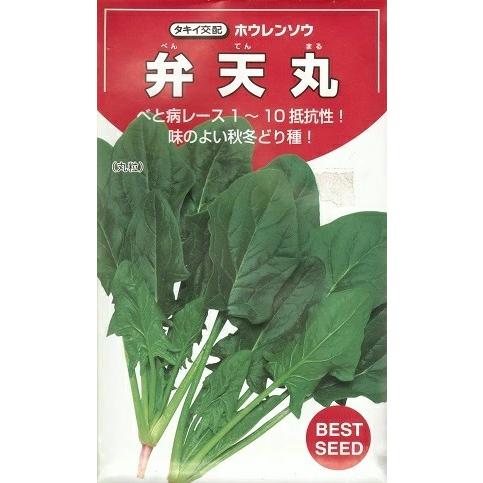 野菜種子 ホウレンソウ「弁天丸」 M30,000粒（タキイ種苗）【送料込み】 べんてんまる ベンテン...