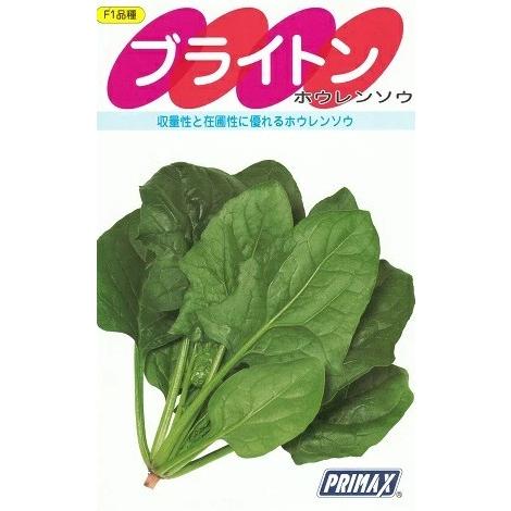 野菜種子 春まき濃緑ホウレンソウ「ブライトン」 1dl（サカタのタネ）【送料込み】 ぶらいとん 法蓮...