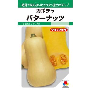 えびす 500粒 カボチャ種子 【南瓜の種】【タキイのタネ】【野菜の種