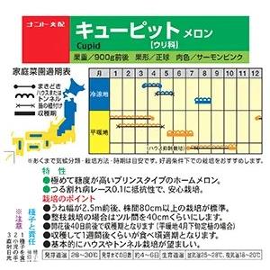 野菜種子 超高糖度メロン「キューピット」 7粒...の詳細画像1