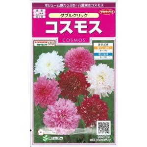 花種子 コスモス「ダブルクリック」 0.8ml(...の商品画像