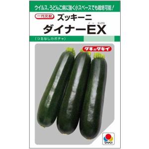 野菜種子 濃緑ズッキーニ「ダイナーEX」 10粒（タキイ種苗）【送料込み】 野菜 やさい 種 ダイナーイーエックス 耐病性 多収 早生 秀品性 減農薬栽培 家庭菜園
