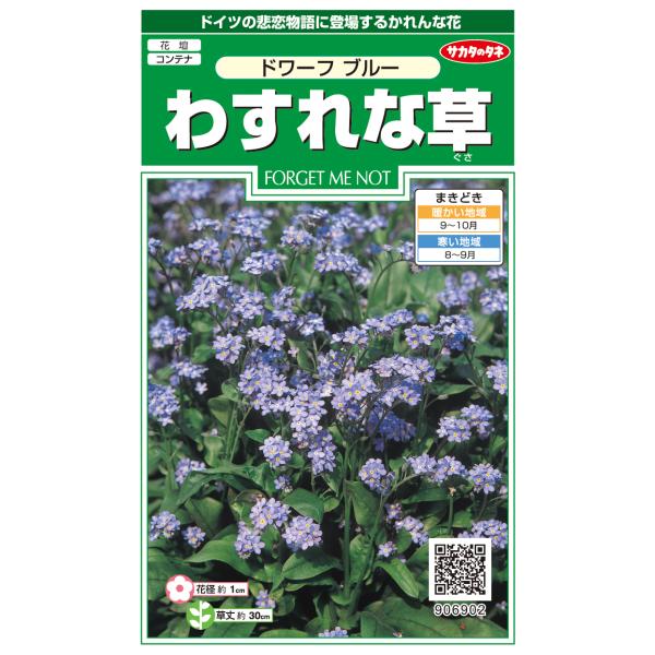 花種子 わすれな草「ドワーフ ブルー」 0.2ml（約80本分）（サカタのタネ）【送料込み】 ドワー...