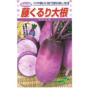 野菜種子 紫ダイコン「藤くるり大根」 20ml（松永種苗）【送料込み】 紫大根 むらさきだいこん ム...