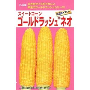 野菜種子 スイートコーン「ゴールドラッシュ ネオ」 23ml（約55粒）（サカタのタネ）【送料込み】...