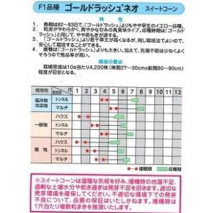野菜種子 スイートコーン「ゴールドラッシュ ネ...の詳細画像1