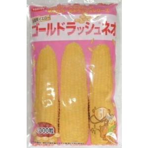 野菜種子 スイートコーン「ゴールドラッシュ ネオ」 2,000粒（サカタのタネ）【送料込み】 ゴール...