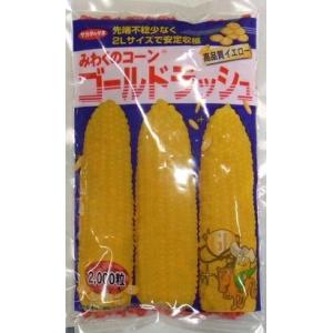 ゴールドラッシュ90 スイートコーン種子 2000粒【スイートコーン種