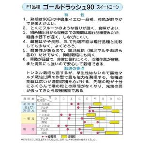 野菜種子 スイートコーン「ゴールドラッシュ90...の詳細画像1