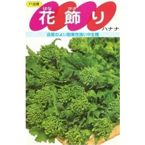 野菜種子 ハナナ「花飾り」 4ml（サカタのタネ）【送料込み】 はなかざり ハナカザリ 花菜 はなな...