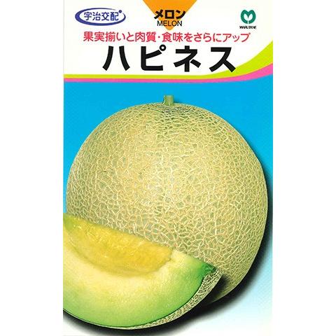 野菜種子 緑肉ネットメロン「ハピネス」 5粒（丸種）【送料込み】 はぴねす 甜瓜 マクワウリ 収量性...