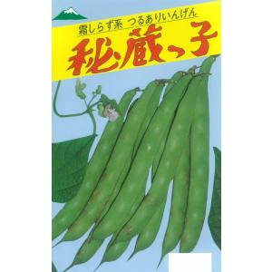 野菜種子 つるありインゲン「秘蔵っ子」 1dl（佐藤政行種苗）【送料込み】 ひぞうっこ ヒゾウッコ 隠元豆 いんげんまめ 霜しらず系