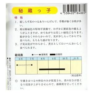 野菜種子 つるありインゲン「秘蔵っ子」 1dl...の詳細画像1