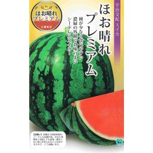 野菜種子 赤肉大玉スイカ「羅皇ザ・スウィート」 7粒（ナント種苗