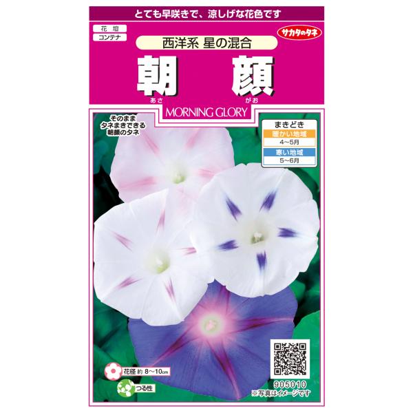 花種子 朝顔「西洋系 星の混合」 1ml（サカタのタネ）【送料込み】 あさがお アサガオ モーニング...