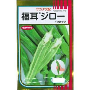 野菜種子 ジャンボトウガラシ「福耳」 500粒（サカタのタネ）【送料込み】 唐辛子 とうがらし ふく...